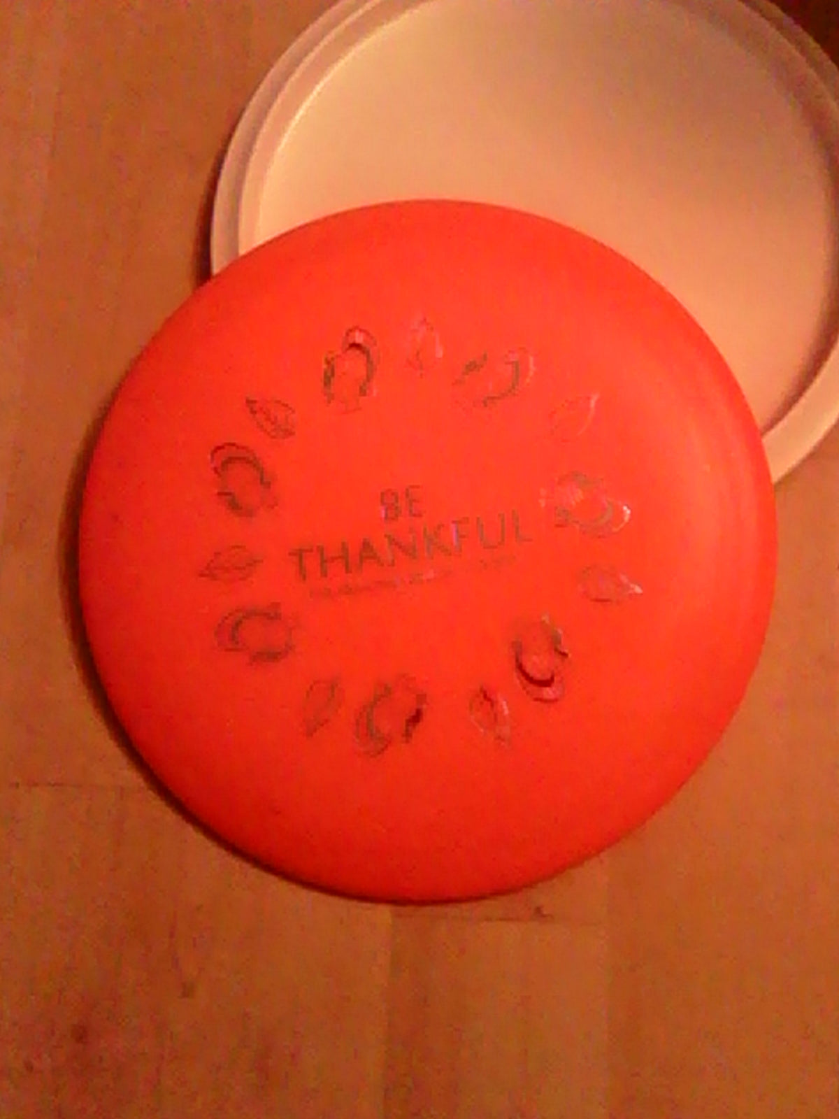 Innova DX Be Thankful Teebird 148 Grams (DX-10)