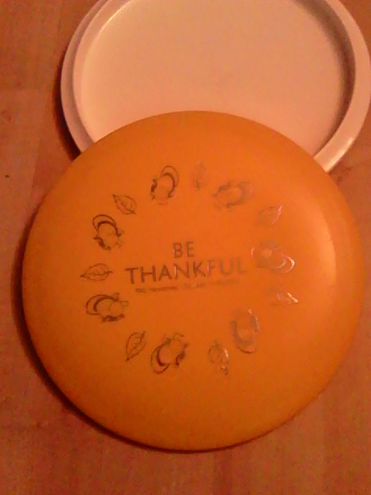 Innova DX Be Thankful Teebird 168 Grams (DX-11)