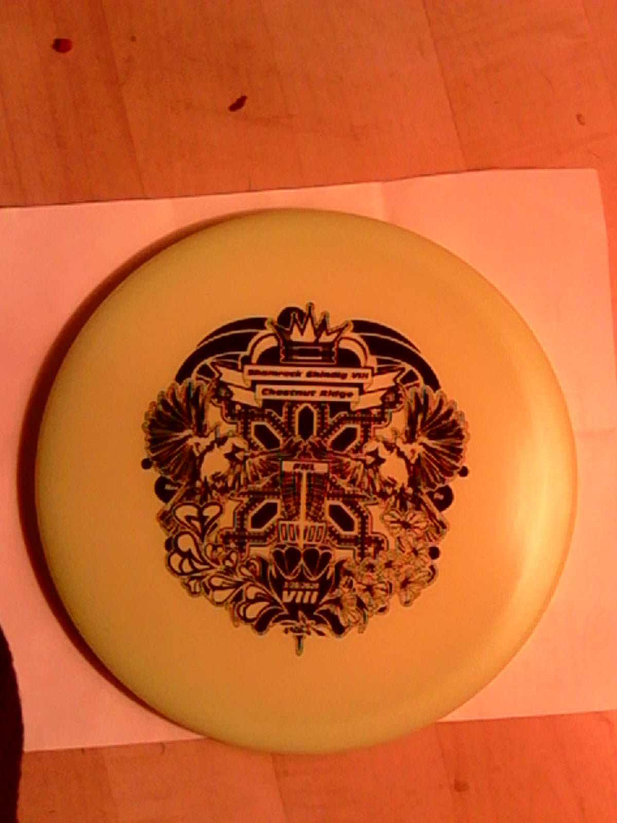 Innova Champion Shamrock Shindig VIII Caiman 168 Grams.