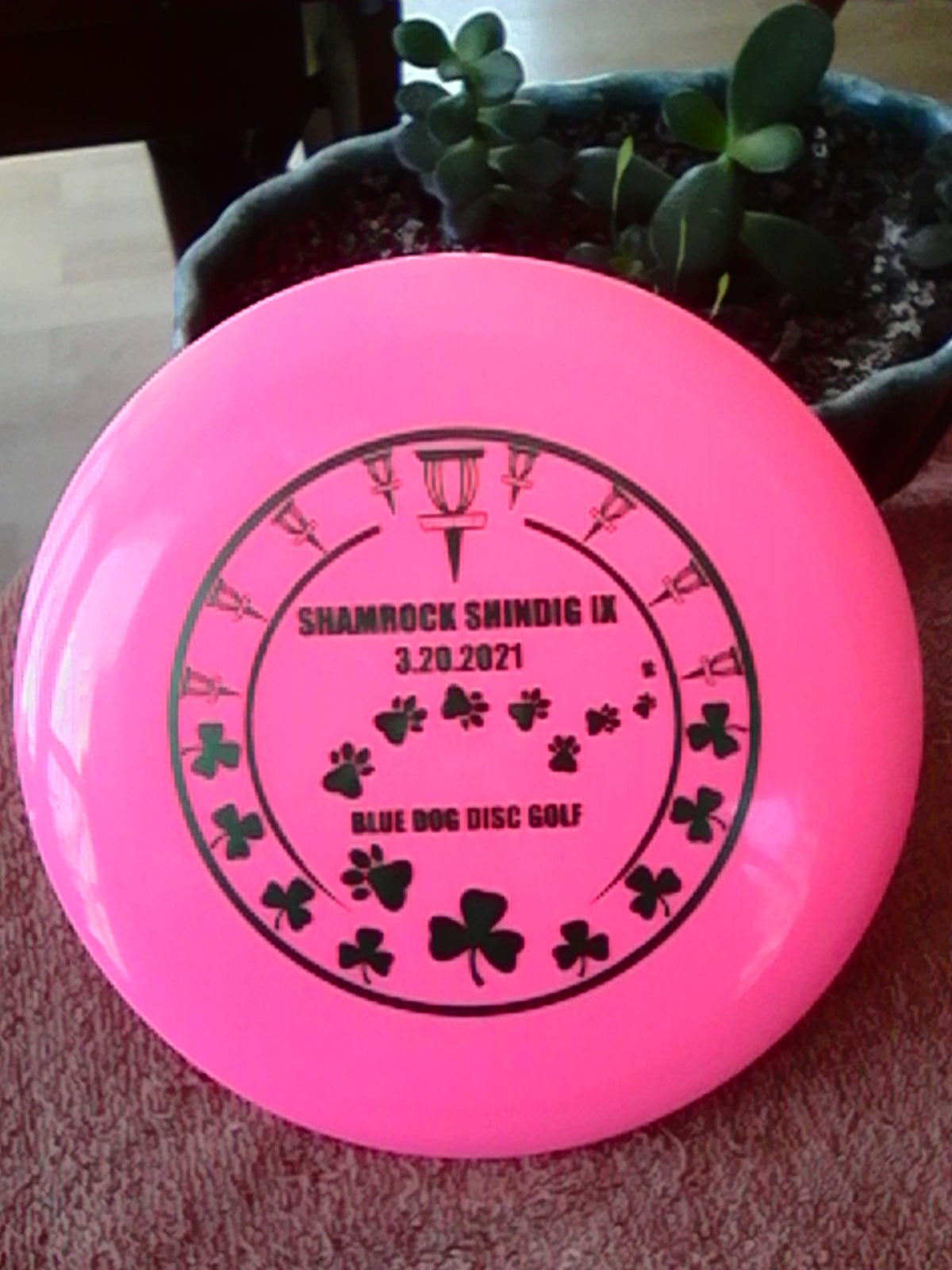 Innova Star Shamrock Shindig IX Sidewinder 173-175 Grams (S-7)