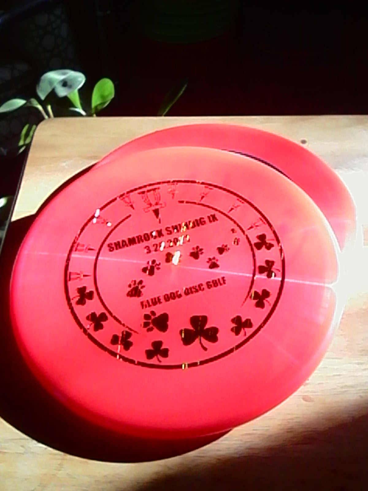 Discraft Z Shamrock Shindig IX Zone 173-174 Grams (IX-4)