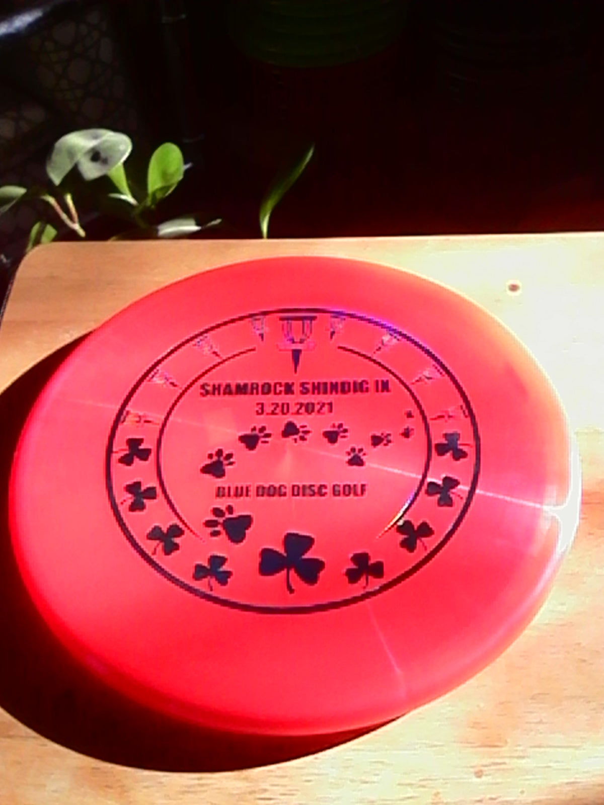 Discraft Z Shamrock Shindig IX Zone 173-174 Grams (IX-5)