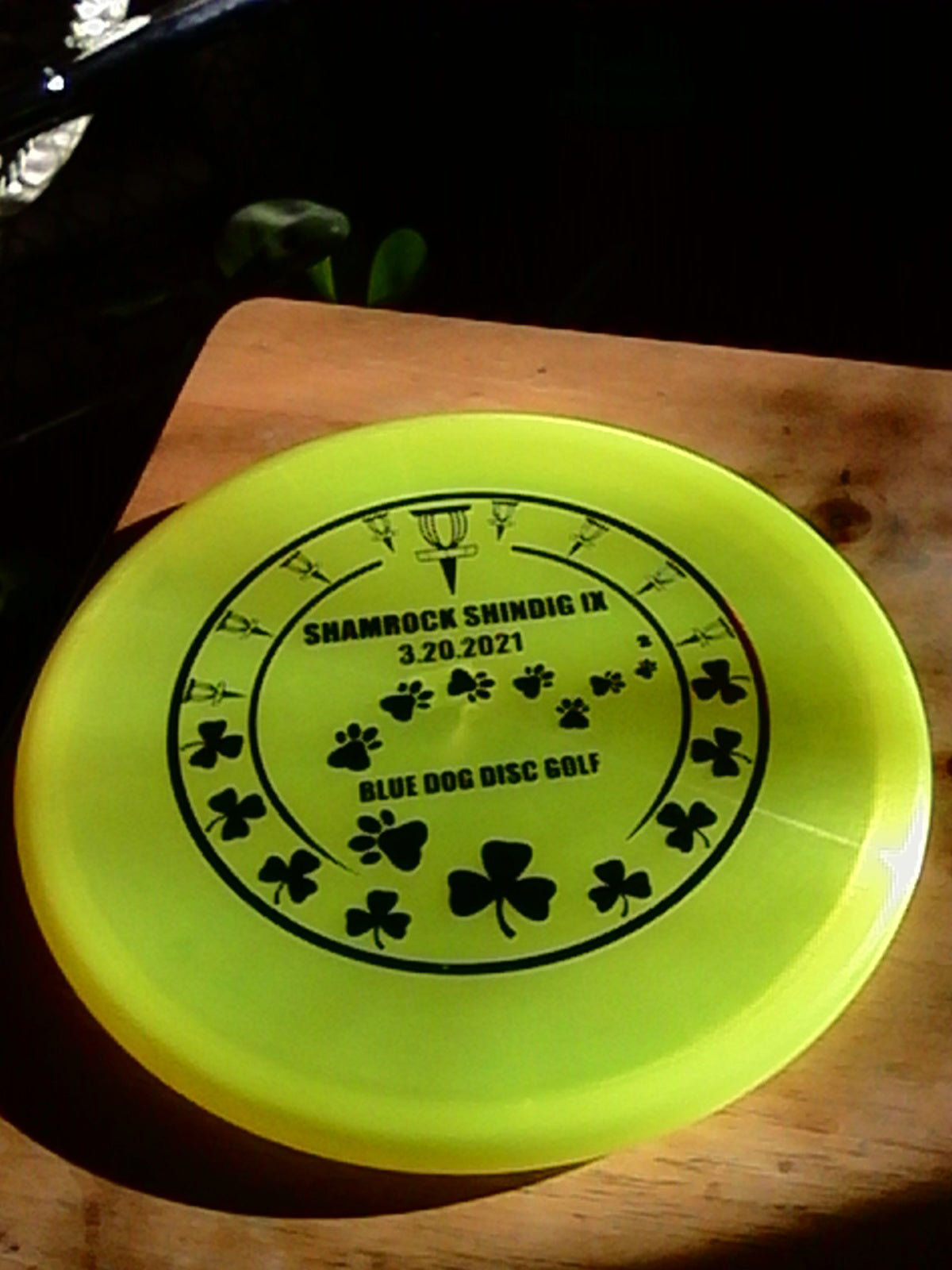 Discraft Z Shamrock Shindig IX Zone 173-174 Grams (IX-7)