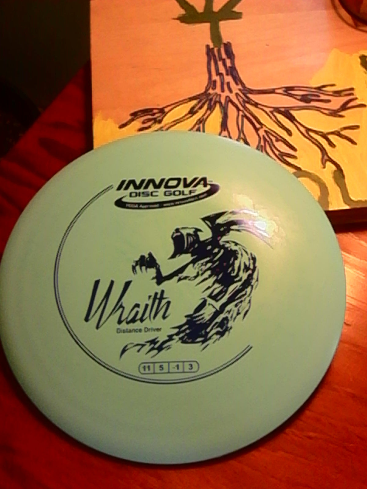 Innova DX Wraith 170 Grams (DX-4)