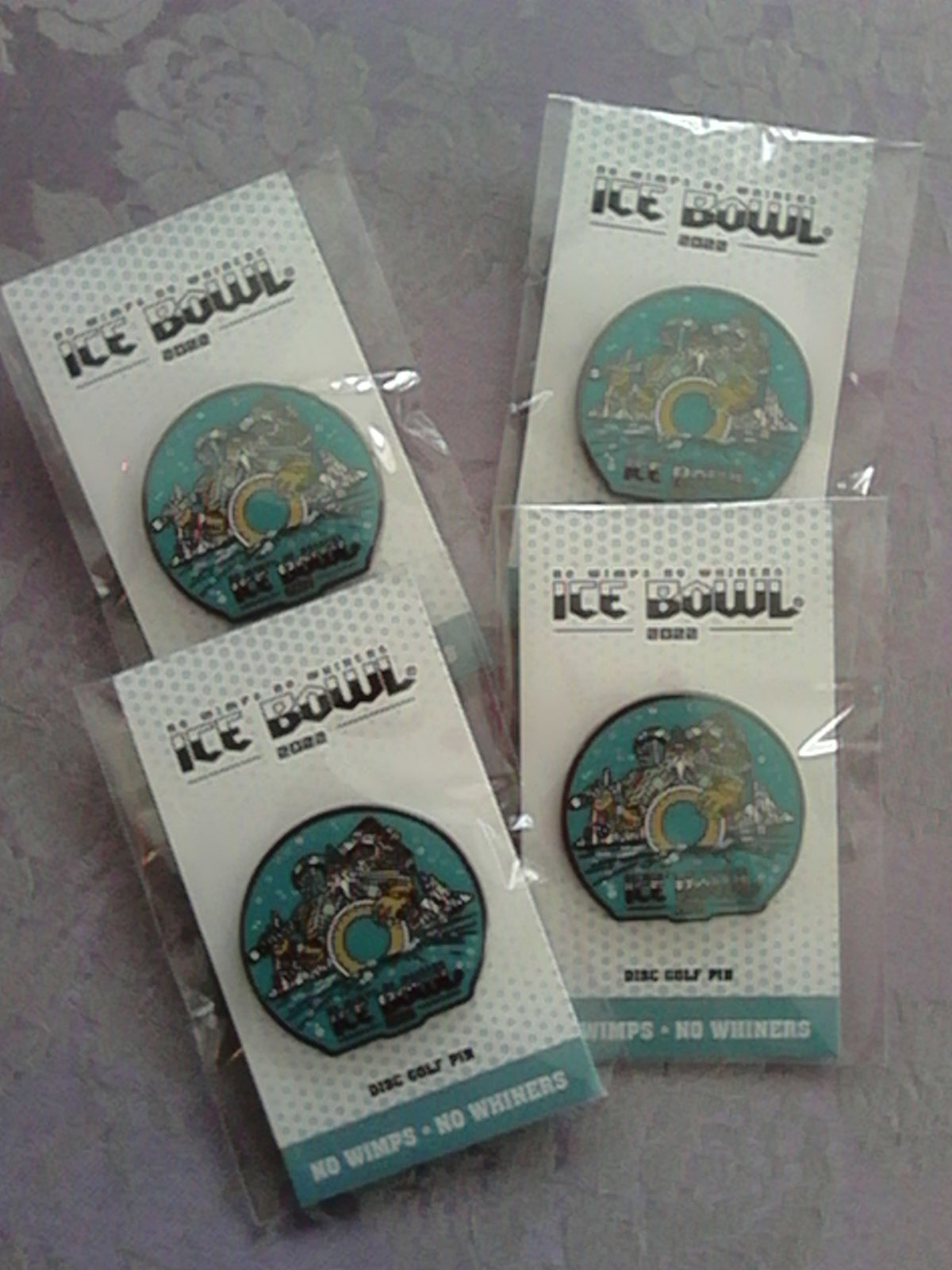 Disc Golf Pin Ice Bowl 2022