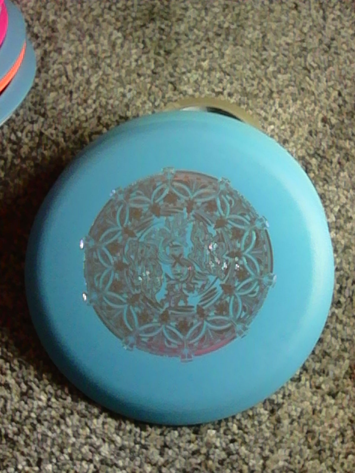 Innova DX Shamrock Shindig X Wombat 3 173 Grams (DX1)