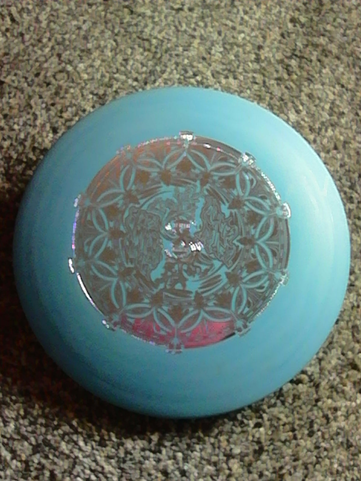 Innova DX Shamrock Shindig X Leopard 167 Grams