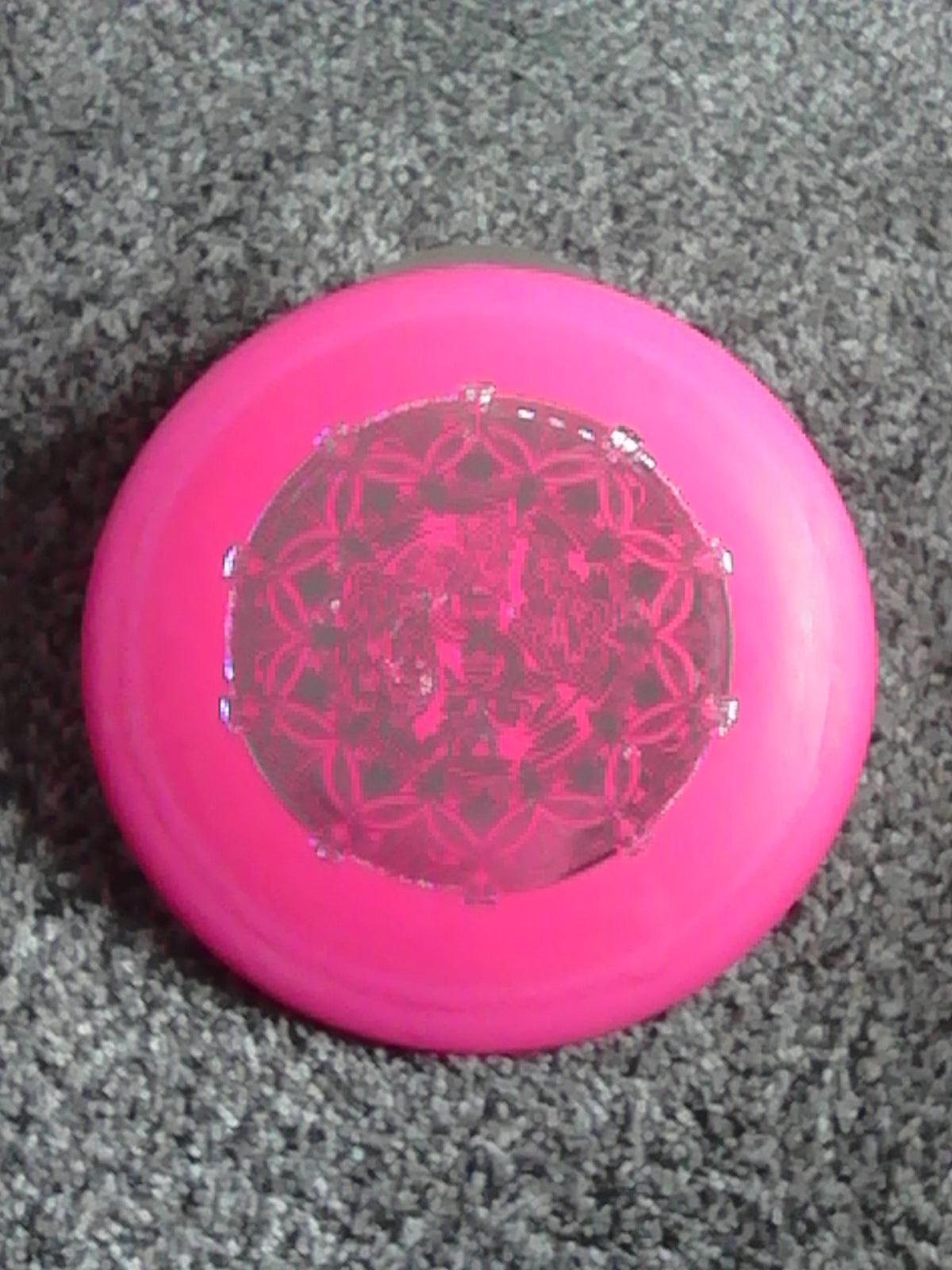 Innova DX Shamrock Shindig X Leopard 175 Grams