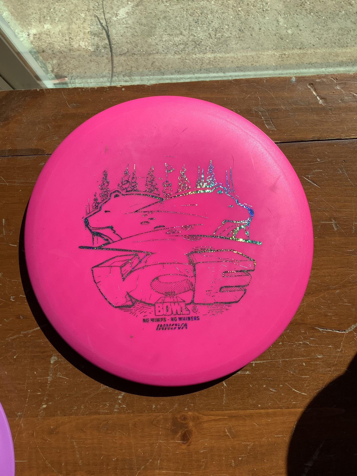 Innova DX Ice Bowl 2023 Roc 180 Grams (R23-3)