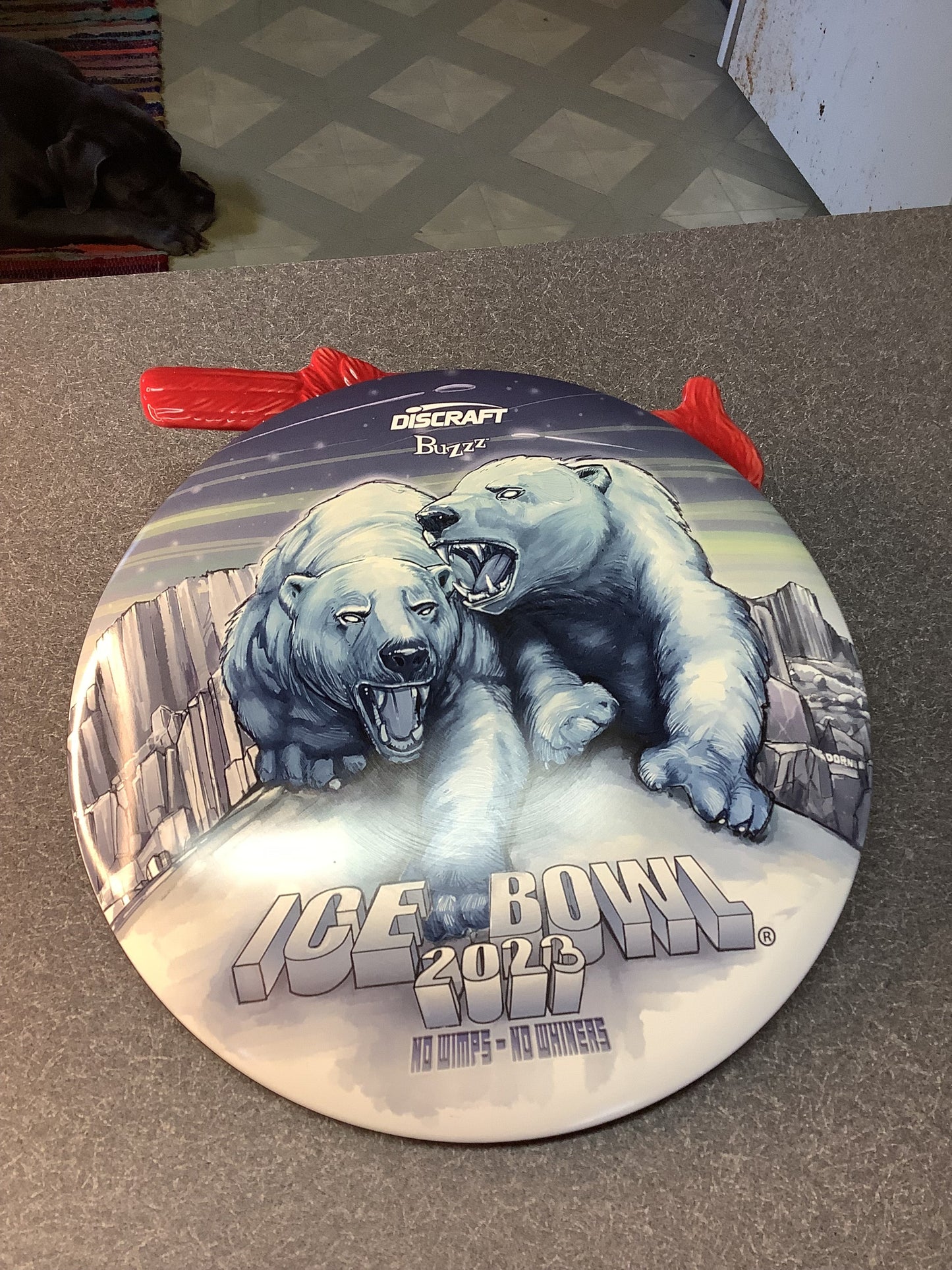 Discraft ESP Full Color Ice Bowl 2023 Buzz 175-176 Grams