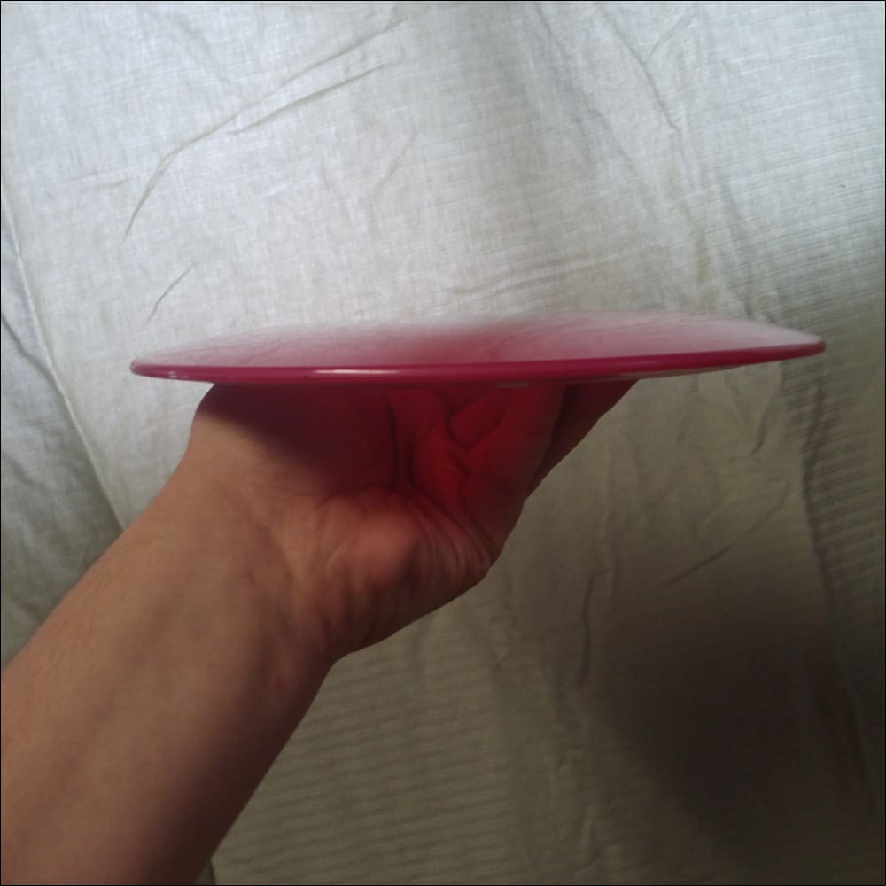 Innova Champion Shryke Blue Dog 175 Grams