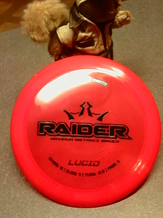 Dynamic Discs lucid Raider 172 Grams (L4)