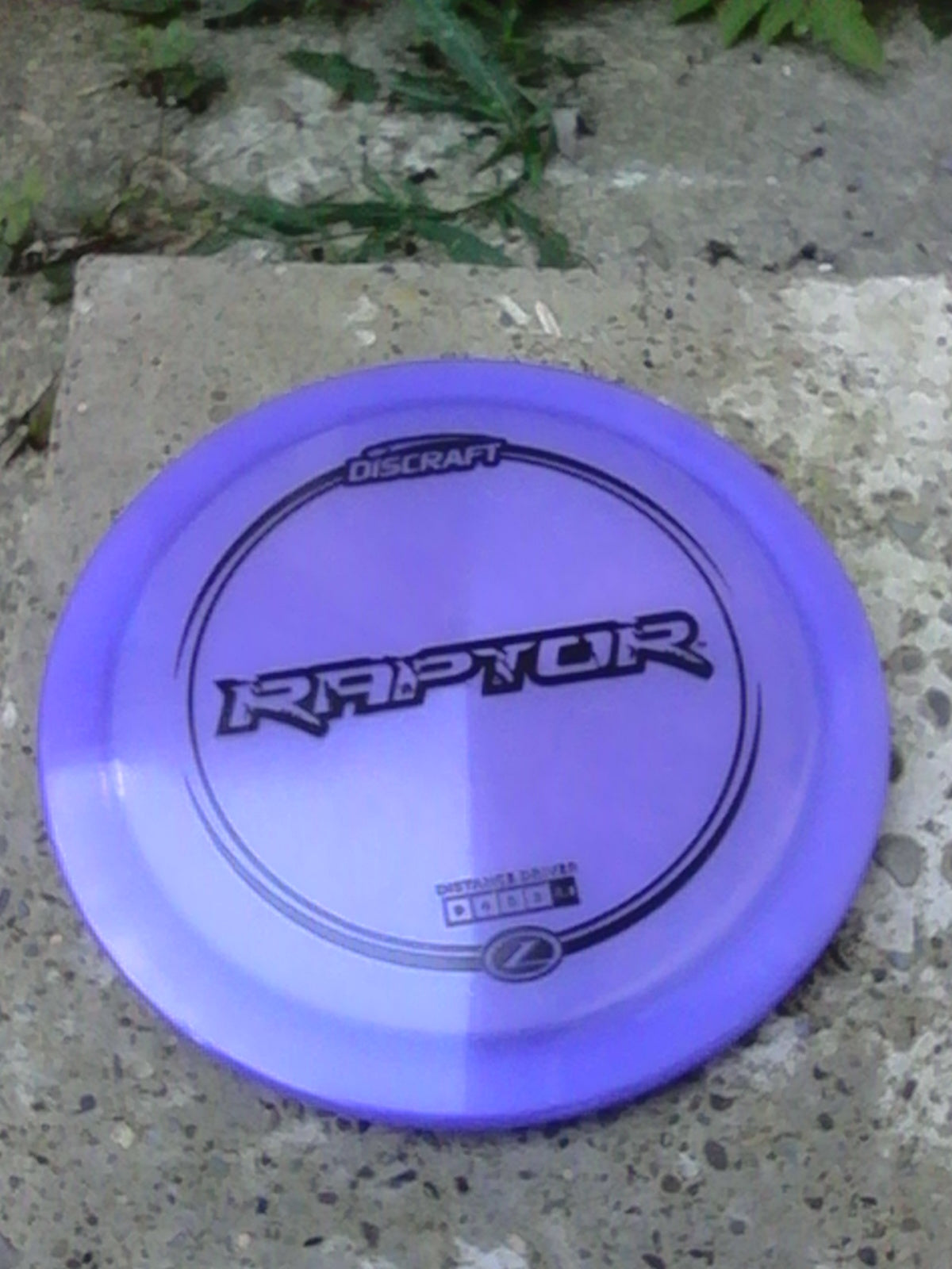 Discraft Z Raptor 173-174 Grams (Z4)